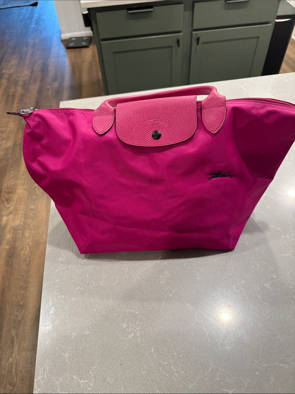 Longchamp Tote in Bright Fuchsia with Black Logo - Picture 8 of 11